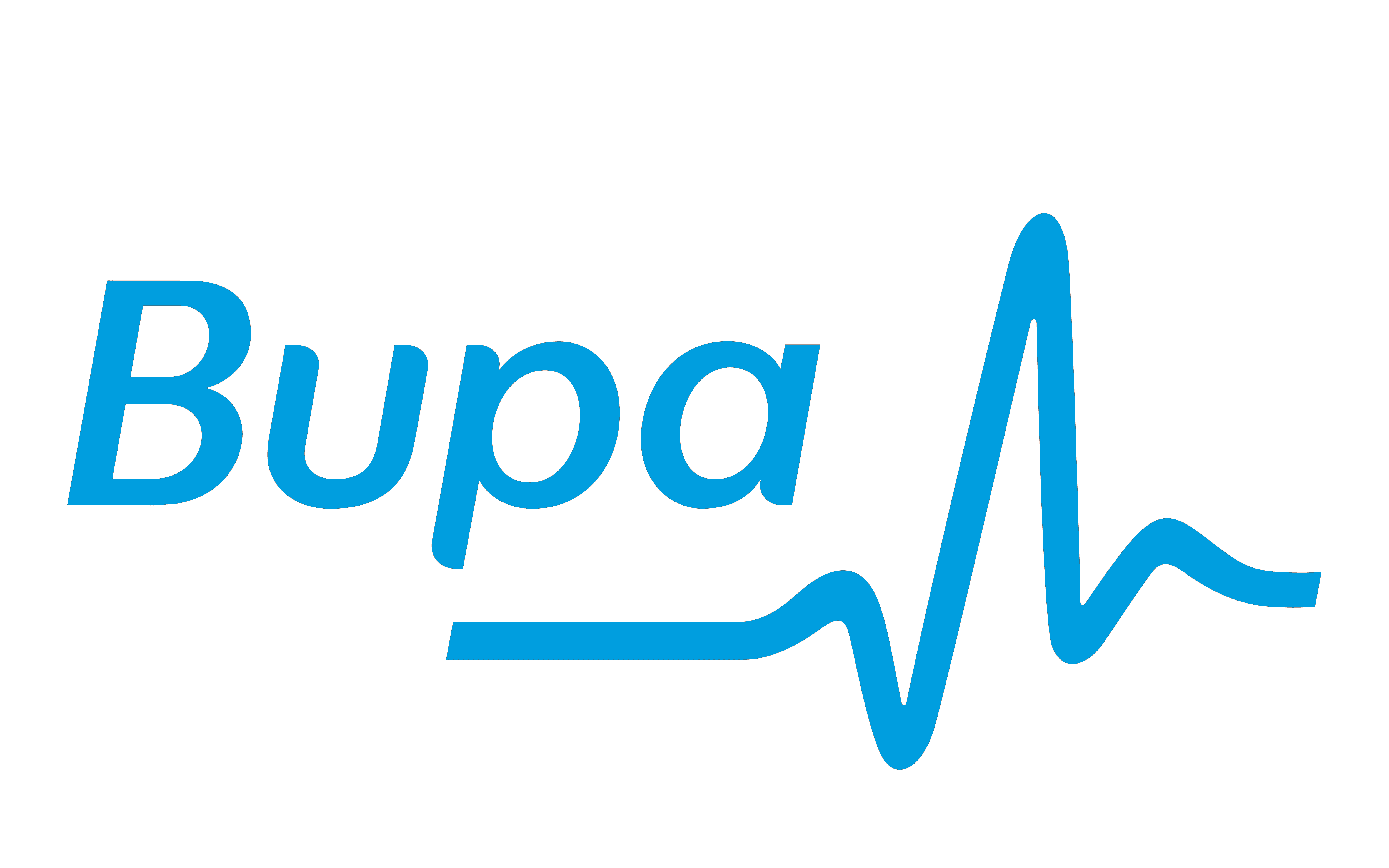 Bupa Global