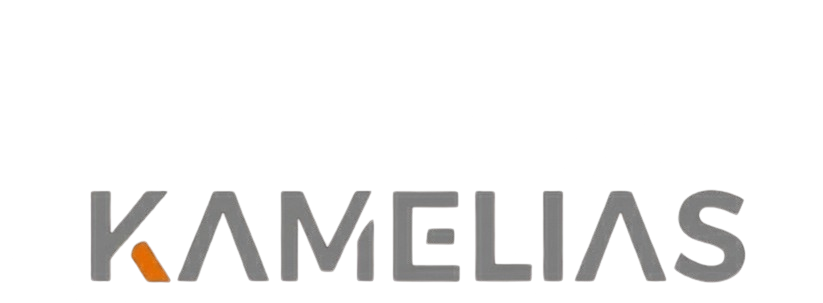 Kamelias Seguridad Financiera